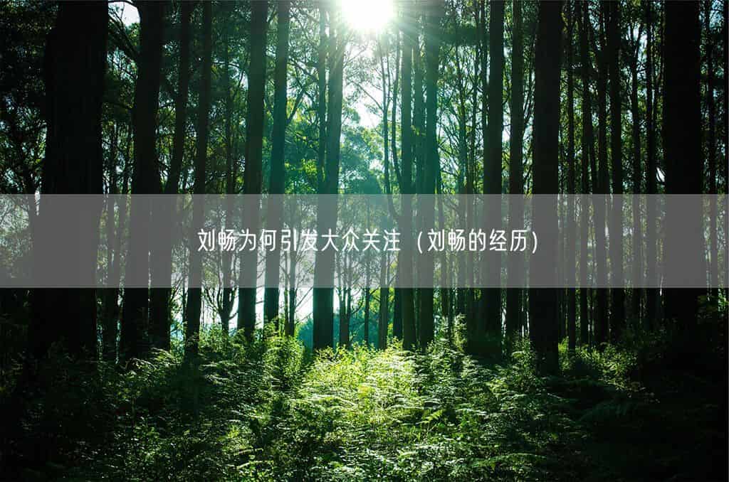 刘畅为何引发大众关注（刘畅的经历）