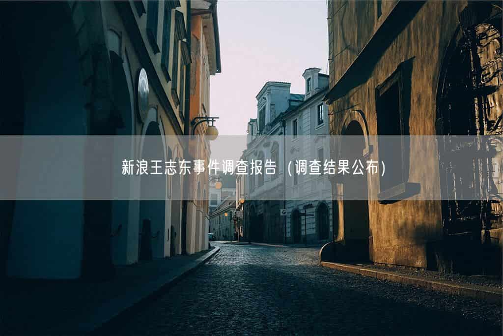 新浪王志东事件调查报告（调查结果公布）(图1)