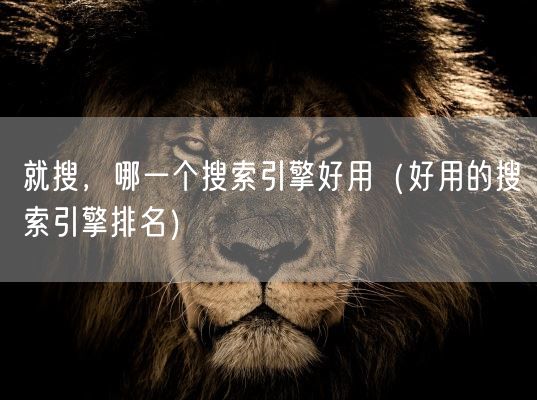 就搜，哪一个搜索引擎好用（好用的搜索引擎