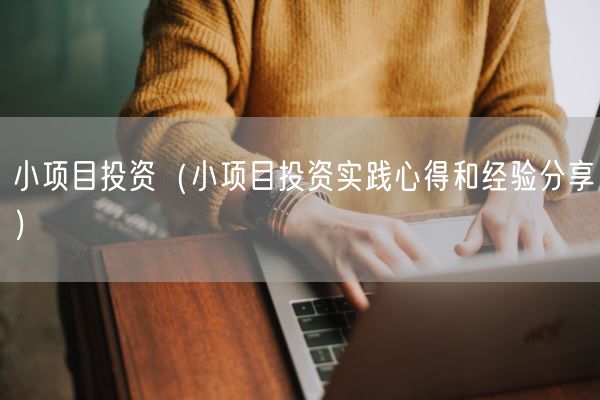 小项目投资（小项目投资实践心得和经验分享）(图1)