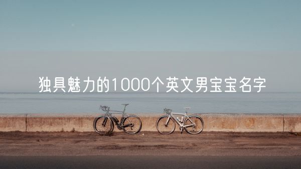 独具魅力的1000个英文男宝宝名字(图1)