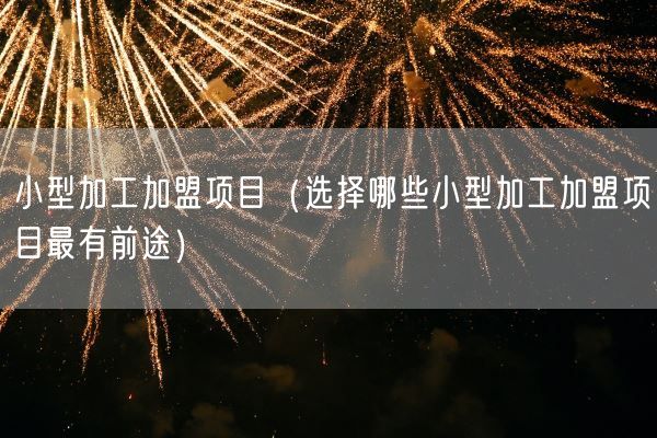 小型加工加盟项目（选择哪些小型加工加盟项目最有前途）(图1)