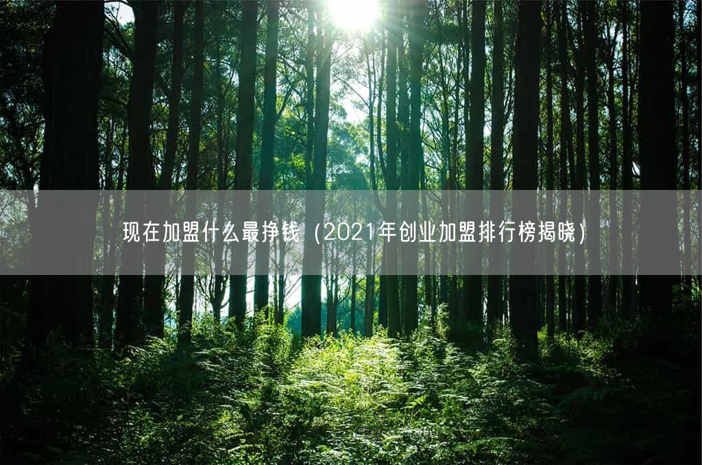 现在加盟什么最挣钱（2021年创业加盟排行榜揭晓）(图1)