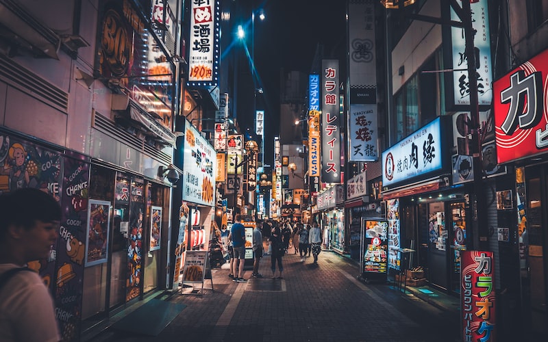 日本天皇和首相的区别（探究日本政治体制中两大重要角色的职责）(图1)