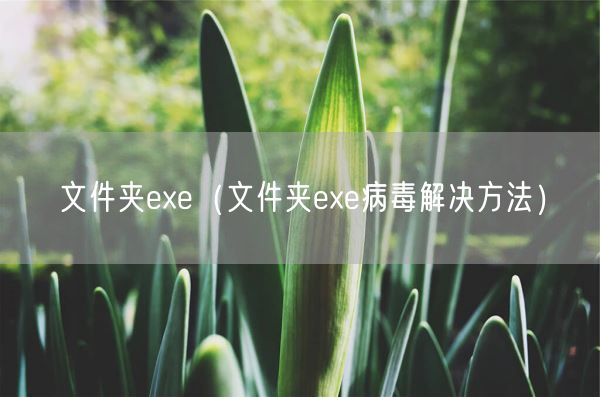 文件夹exe（文件夹exe病毒解决方法）(图1)