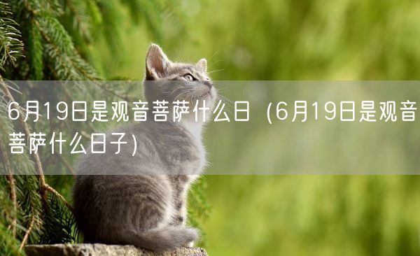 6月19日是观音菩萨什么日（6月19日是观音菩萨什么日子）(图1)