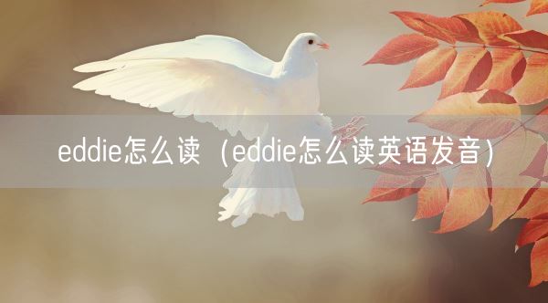 eddie怎么读（eddie怎么读英语发音）(图1)