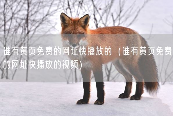 谁有黄页免费的网址快播放的(谁有黄页免费的网址快播放的视频)(图1) 谁有黄页免费的网址快播放的(谁有黄页免费的网址快播放的视频)(图1)