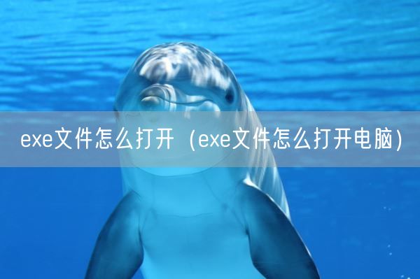 exe文件怎么打开（exe文件怎么打开电脑）(图1)