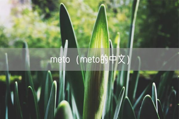 meto（meto的中文）(图1)