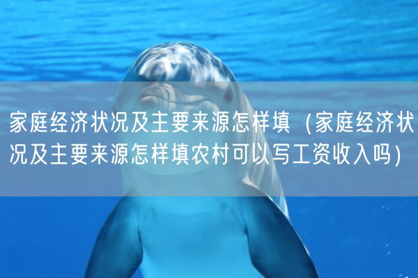 家庭经济状况及主要来源怎样填(家庭经济状况及主要来源怎样填农村可以写工资收入吗)(图1) 家庭经济状况及主要来源怎样填(家庭经济状况及主要来源怎样填农村可以写工资收入吗)(图1)