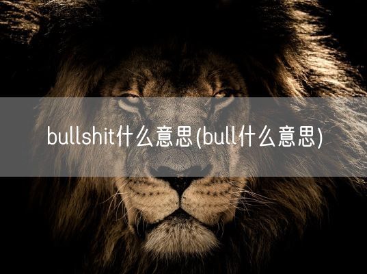 bullshit什么意思(bull什么意思)(图1)