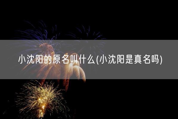 小沈阳的原名叫什么(小沈阳是真名吗)(图1)