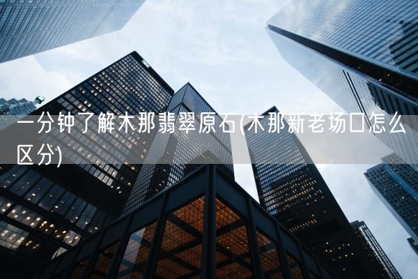 一分钟了解木那翡翠原石(木那新老场口怎么区分)(图1)