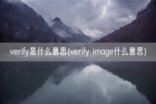 verify是什么意思(verify image什么意思)(图1)