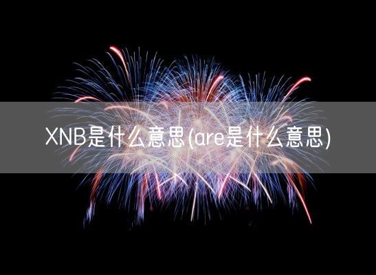 XNB是什么意思(are是什么意思)(图1) XNB是什么意思(are是什么意思)(图1)