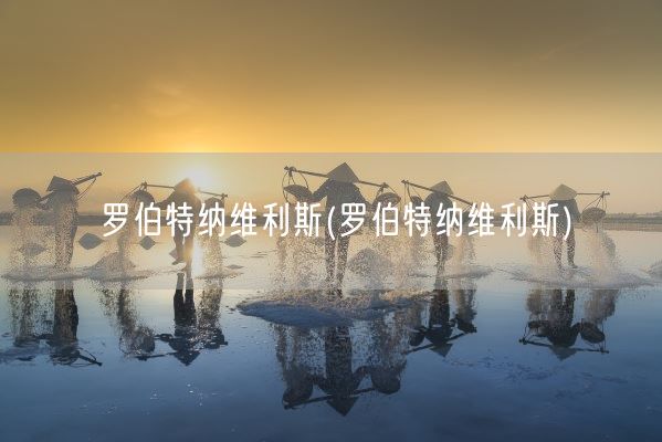 罗伯特纳维利斯(罗伯特纳维利斯)(图1)
