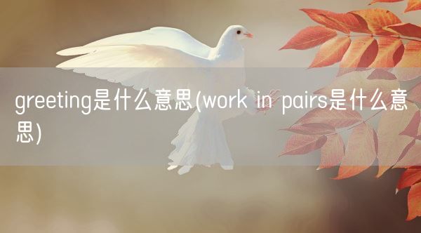 greeting是什么意思(work in pairs是什么意思)(图1) greeting是什么意思(work in pairs是什么意思)(图1)