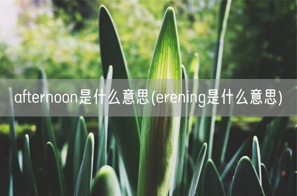 afternoon是什么意思(erening是什么意思)(图1)
