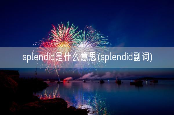 splendid是什么意思(splendid副词)(图1) splendid是什么意思(splendid副词)(图1)