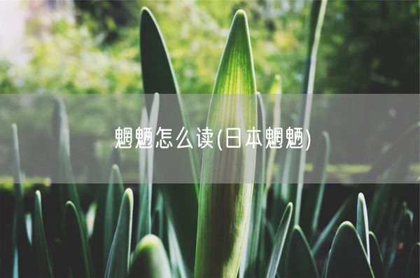 魍魉怎么读(日本魍魉)(图1) 魍魉怎么读(日本魍魉)(图1)