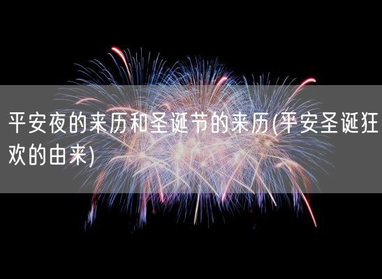 平安夜的来历和圣诞节的来历(平安圣诞狂欢的由来)(图1) 平安夜的来历和圣诞节的来历(平安圣诞狂欢的由来)(图1)
