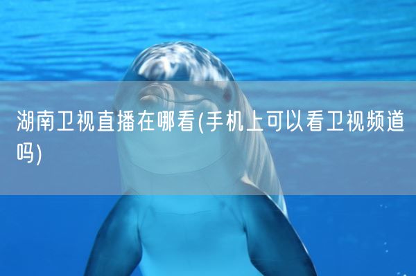 湖南卫视直播在哪看(手机上可以看卫视频道吗)(图1) 湖南卫视直播在哪看(手机上可以看卫视频道吗)(图1)