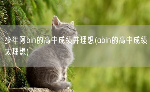 少年阿bin的高中成绩并理想(abin的高中成绩太理想)(图1)