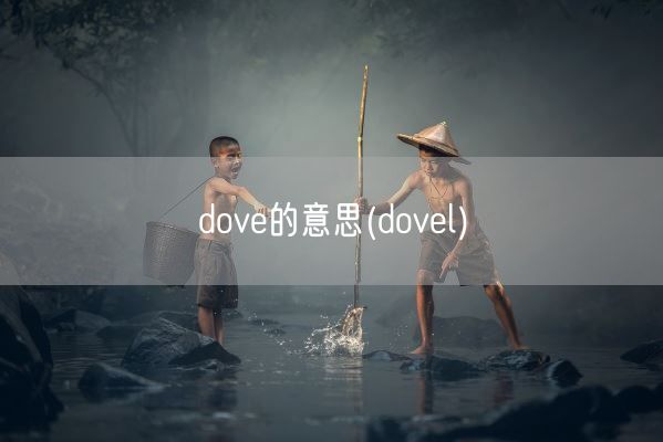 dove的意思(dovel)(图1) dove的意思(dovel)(图1)