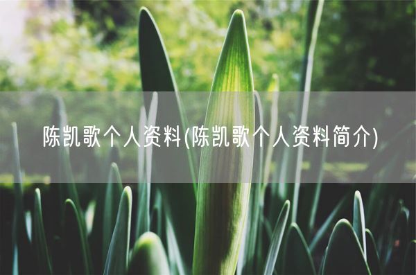 陈凯歌个人资料(陈凯歌个人资料简介)(图1)