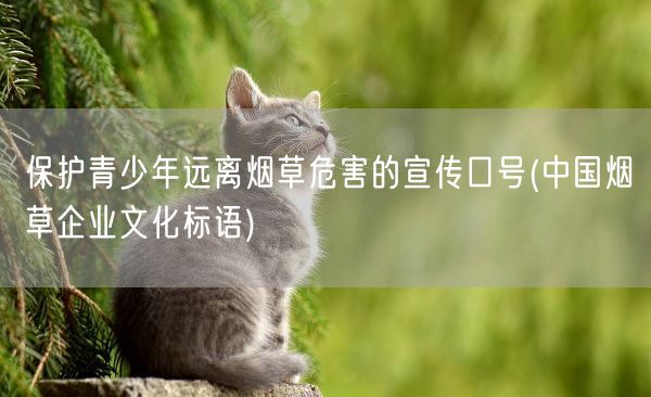 保护青少年远离烟草危害的宣传口号(中国烟草企业文化标语)(图1) 保护青少年远离烟草危害的宣传口号(中国烟草企业文化标语)(图1)