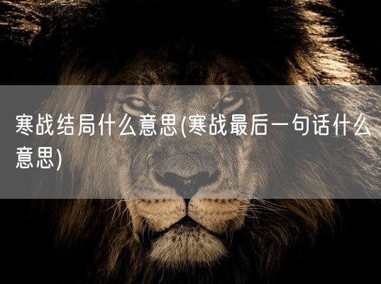 寒战结局什么意思(寒战最后一句话什么意思)(图1)