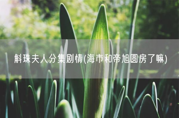 斛珠夫人分集剧情(海市和帝旭圆房了嘛)(图1)