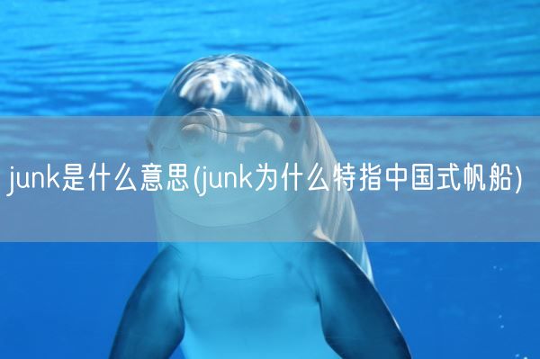 junk是什么意思(junk为什么特指中国式帆船)(图1)