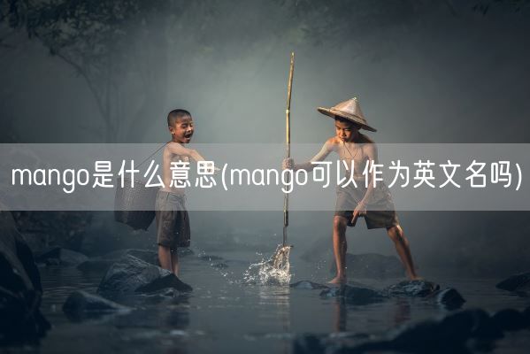 mango是什么意思(mango可以作为英文名吗)(图1)