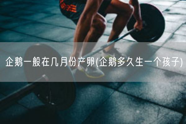 企鹅一般在几月份产卵(企鹅多久生一个孩子)(图1) 企鹅一般在几月份产卵(企鹅多久生一个孩子)(图1)