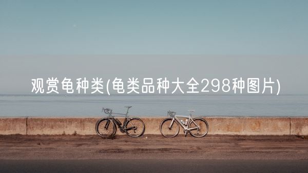 观赏龟种类(龟类品种大全298种图片)(图1)