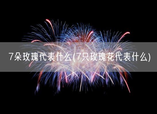 7朵玫瑰代表什么(7只玫瑰花代表什么)(图1)