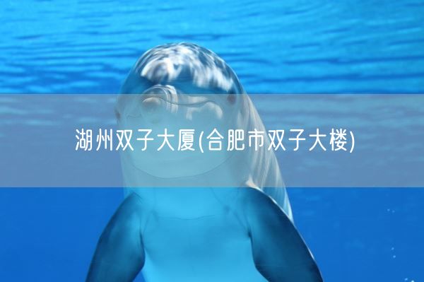 湖州双子大厦(合肥市双子大楼)(图1)