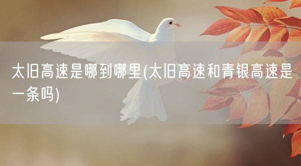 太旧高速是哪到哪里(太旧高速和青银高速是一条吗)(图1)