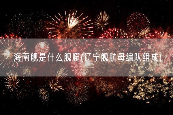 海南舰是什么舰艇(辽宁舰航母编队组成)(图1)