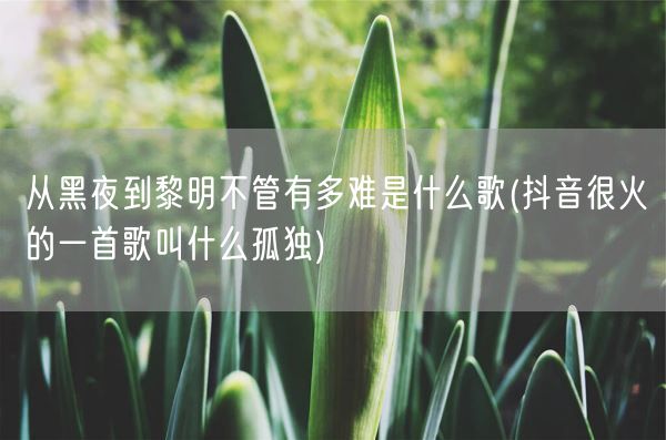 从黑夜到黎明不管有多难是什么歌(抖音很火的一首歌叫什么孤独)(图1)