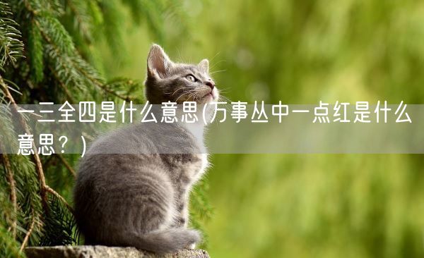 一三全四是什么意思(万事丛中一点红是什么意思?)(图1) 一三全四是什么意思(万事丛中一点红是什么意思?)(图1)