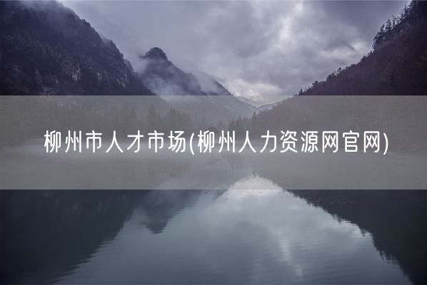 柳州市人才市场(柳州人力资源网官网)(图1)