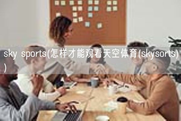 sky sports(怎样才能观看天空体育(skysorts))(图1)