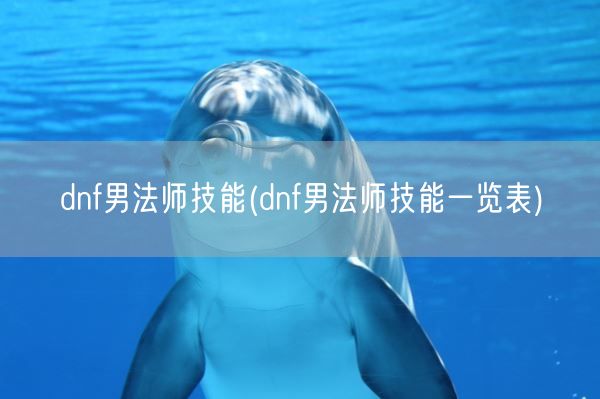 dnf男法师技能(dnf男法师技能一览表)(图1) dnf男法师技能(dnf男法师技能一览表)(图1)