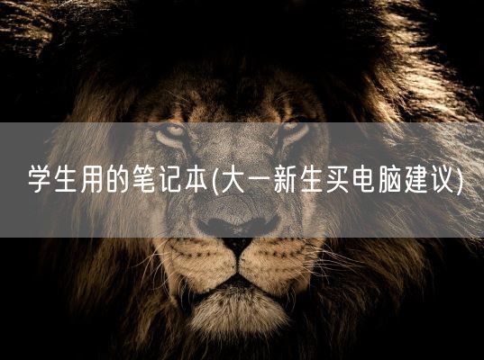 学生用的笔记本(大一新生买电脑建议)(图1)