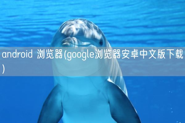 android 浏览器(google浏览器安卓中文版下载)(图1) android 浏览器(google浏览器安卓中文版下载)(图1)