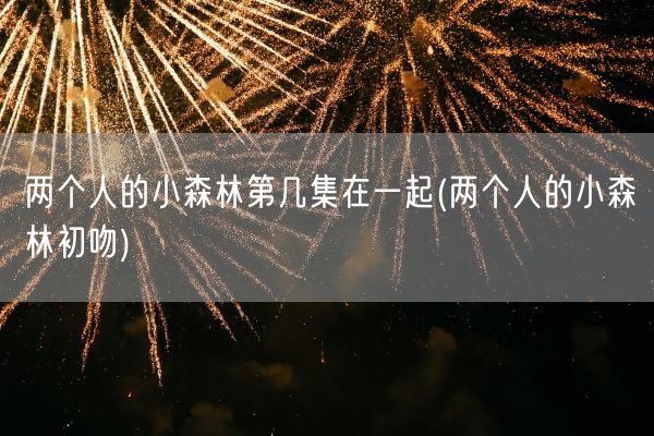 两个人的小森林第几集在一起(两个人的小森林初吻)(图1) 两个人的小森林第几集在一起(两个人的小森林初吻)(图1)