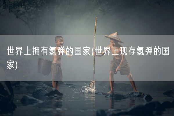 世界上拥有氢弹的国家(世界上现存氢弹的国家)(图1)
